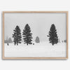 Snowy winter scene artwork with tall pine trees in a peaceful snow-covered field, perfect for minimalist wall decor.