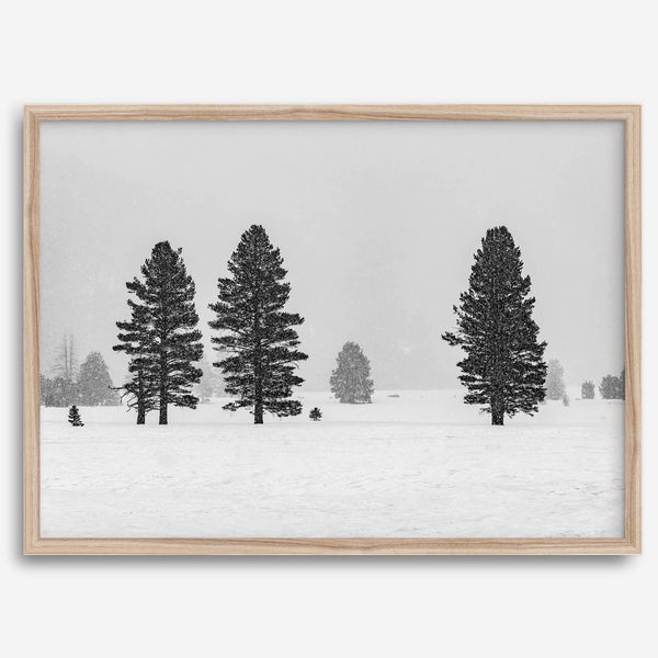 Snowy winter scene artwork with tall pine trees in a peaceful snow-covered field, perfect for minimalist wall decor.