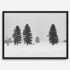 Snowy winter scene artwork with tall pine trees in a peaceful snow-covered field, perfect for minimalist wall decor.