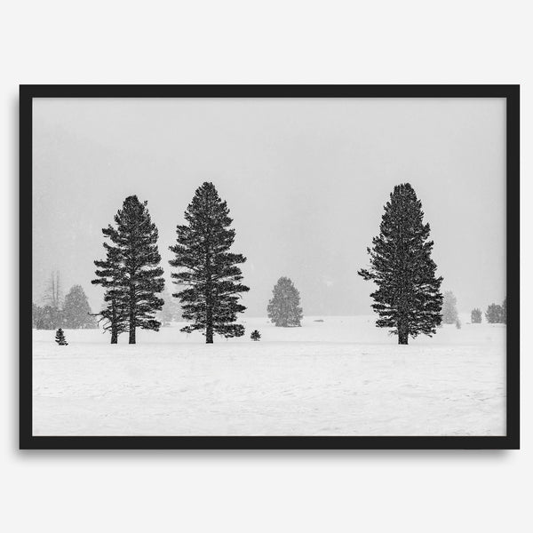 Snowy winter scene artwork with tall pine trees in a peaceful snow-covered field, perfect for minimalist wall decor.