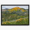 A fine art flower mountain print showing an awe-inspiring Poppy bloom on Figueroa Mountain in Californi.