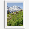 A fine art framed or unframed mountain print of Mount Rainier National Park. This portrait orientation nature landscape wall art showcases the beautiful snow-covered mountain with stunning flowers in the forefront.