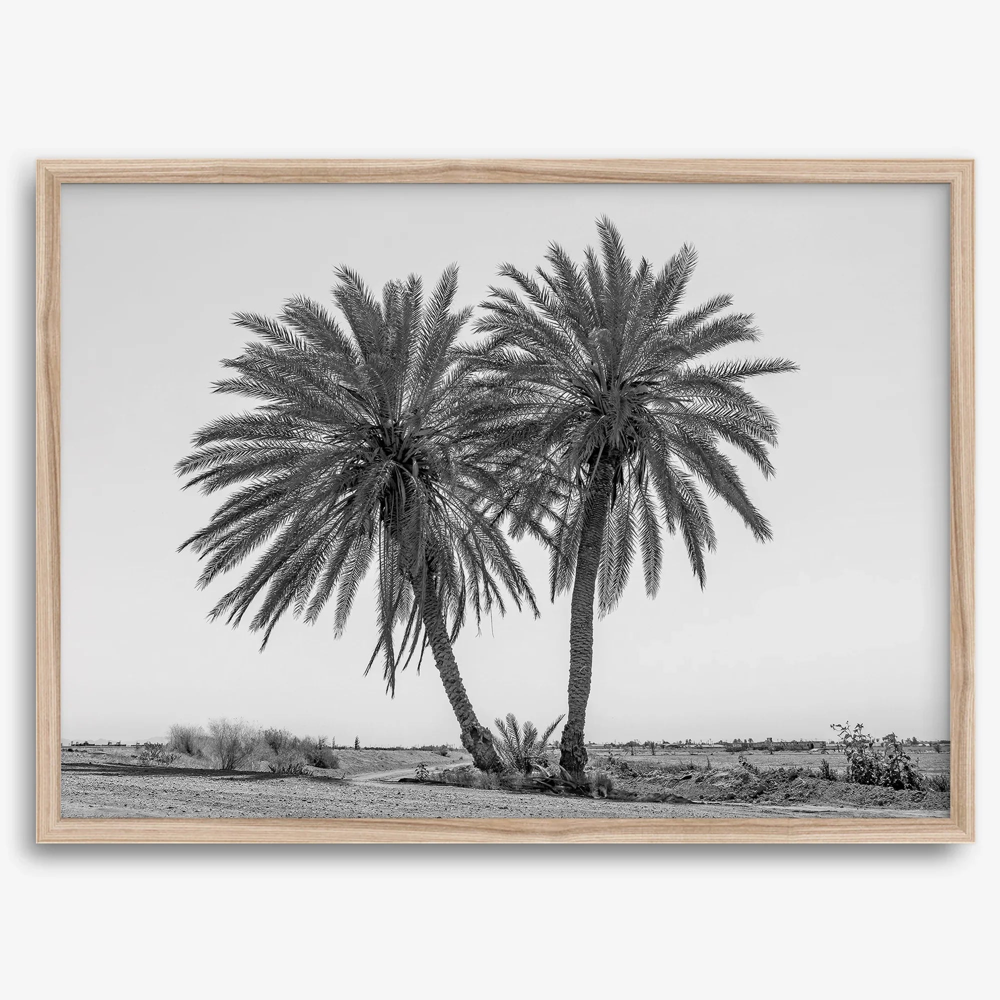 Palmenkraft