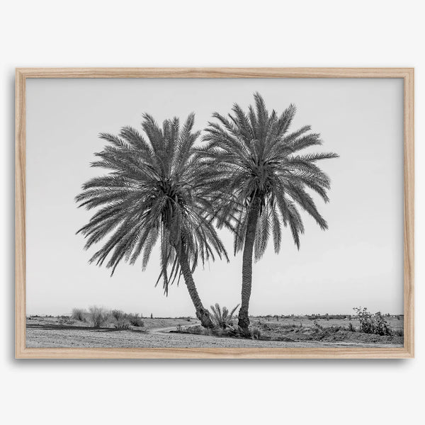 Palmenkraft