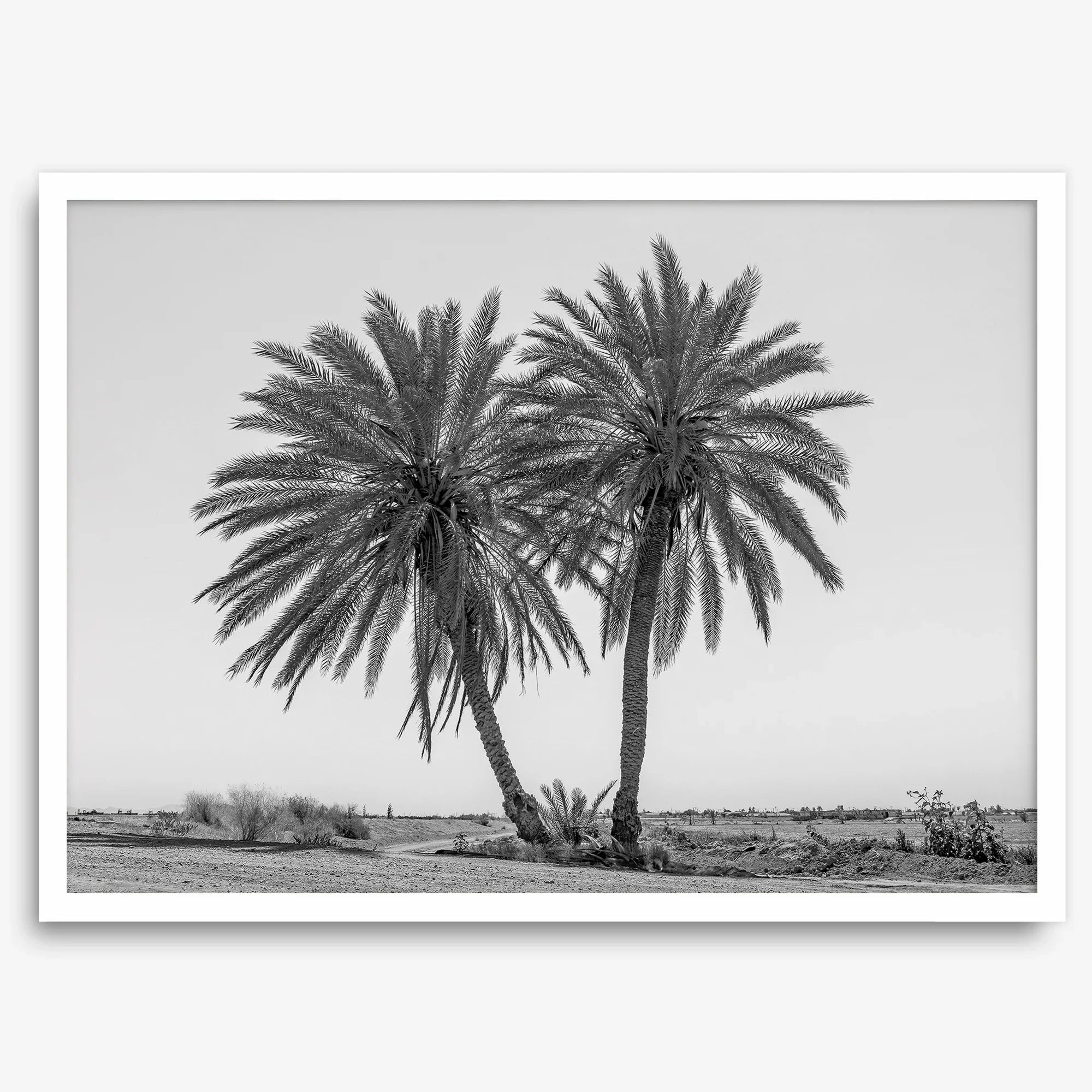 Palmenkraft