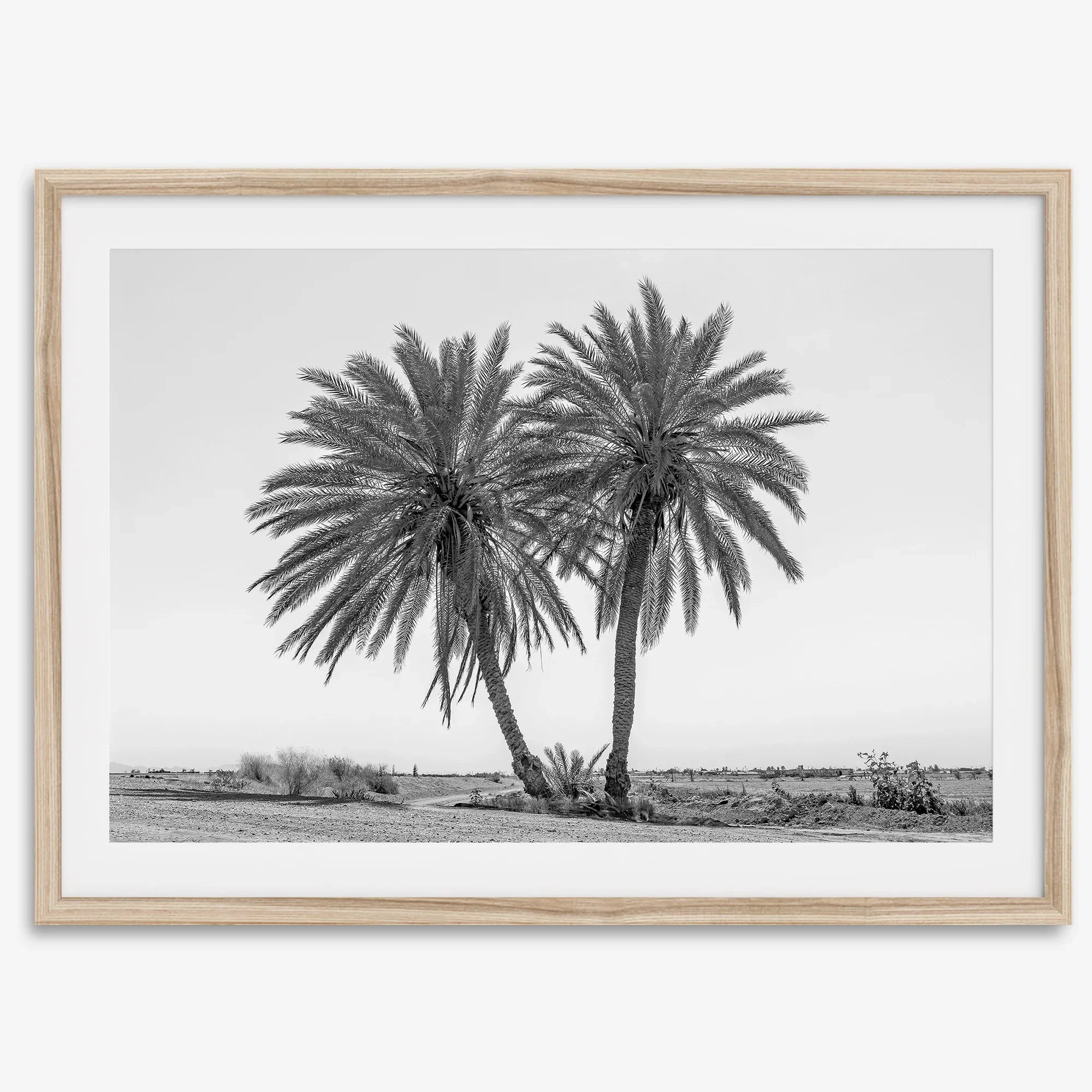Palmenkraft