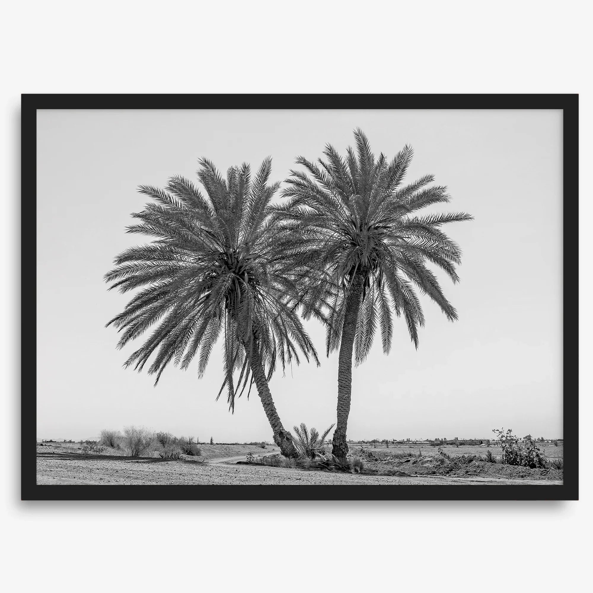 Palmenkraft