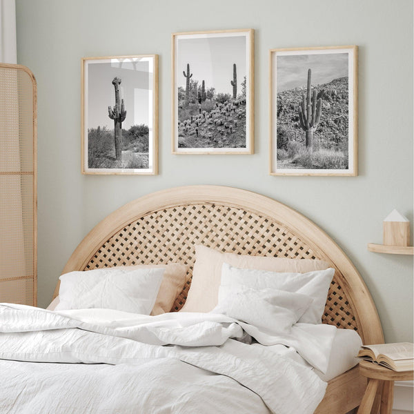 Black and white set of 3 prints featuring Saguaro National Park cacti: a figure-like cactus, one on a cactus-covered hill, and another with a branching top.