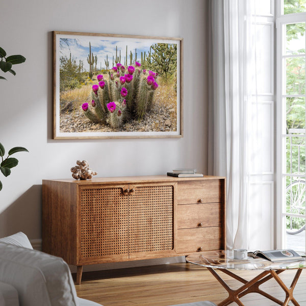 Arizona Desert Wall Art featuring a blooming hedgehog cactus in Saguaro National Park