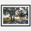 Step into California Wine Country with our fine art print of a winding road through the vineyards of the Russian River in Sonoma Valley. The rays of the setting sun are visible behind the trees, spreading warmth across THE vineyards.
