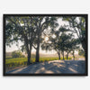 Step into California Wine Country with our fine art print of a winding road through the vineyards of the Russian River in Sonoma Valley. The rays of the setting sun are visible behind the trees, spreading warmth across THE vineyards.