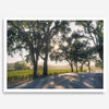 Step into California Wine Country with our fine art print of a winding road through the vineyards of the Russian River in Sonoma Valley. The rays of the setting sun are visible behind the trees, spreading warmth across THE vineyards.