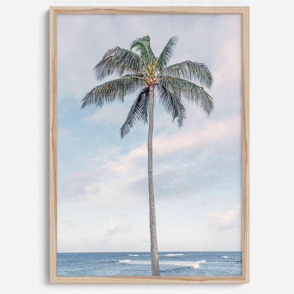 Palm Perfection