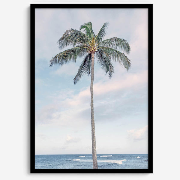Palm Perfection