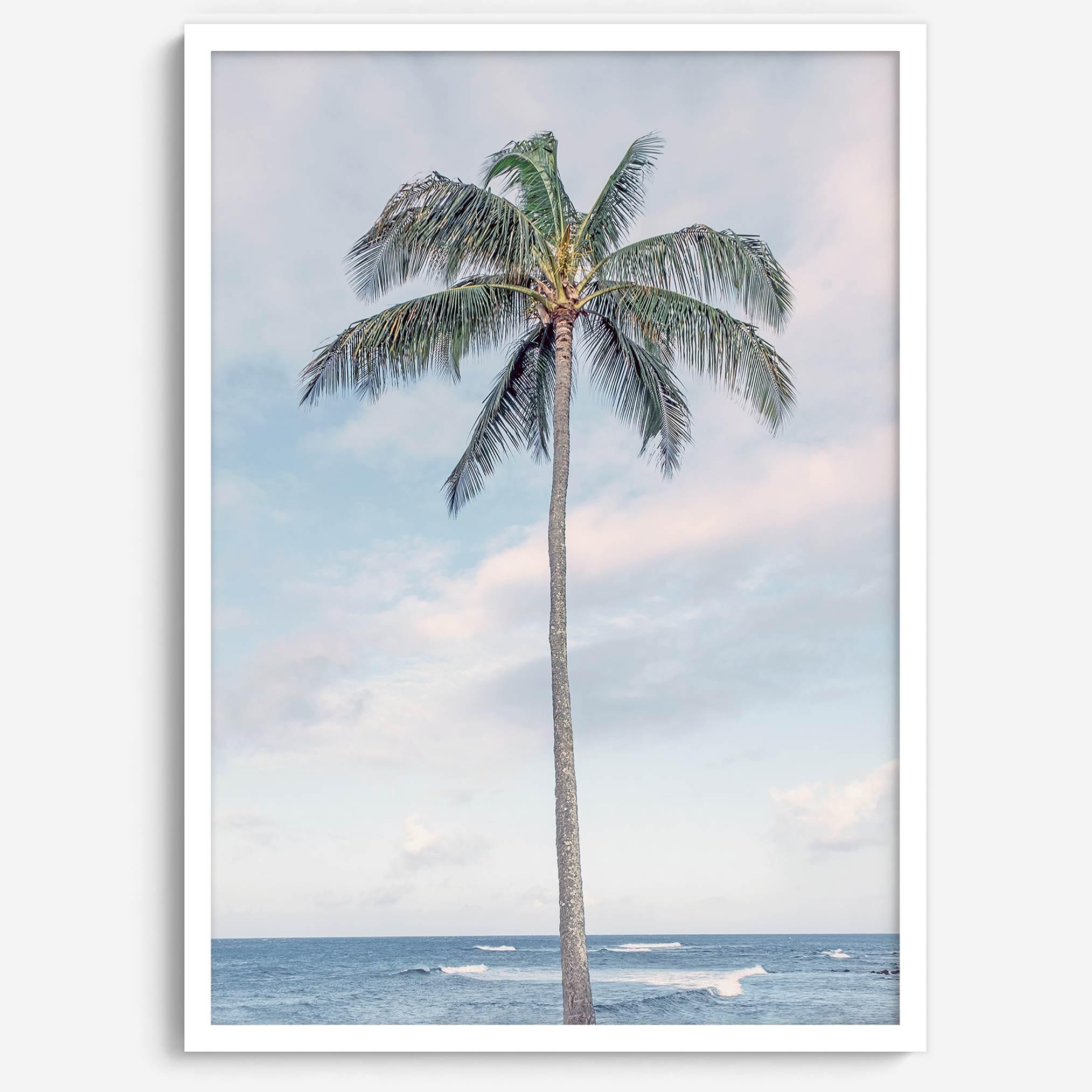 Palm Perfection