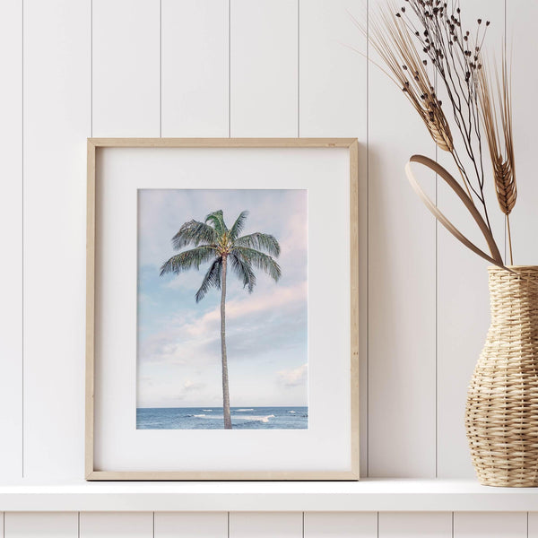 Palm Perfection