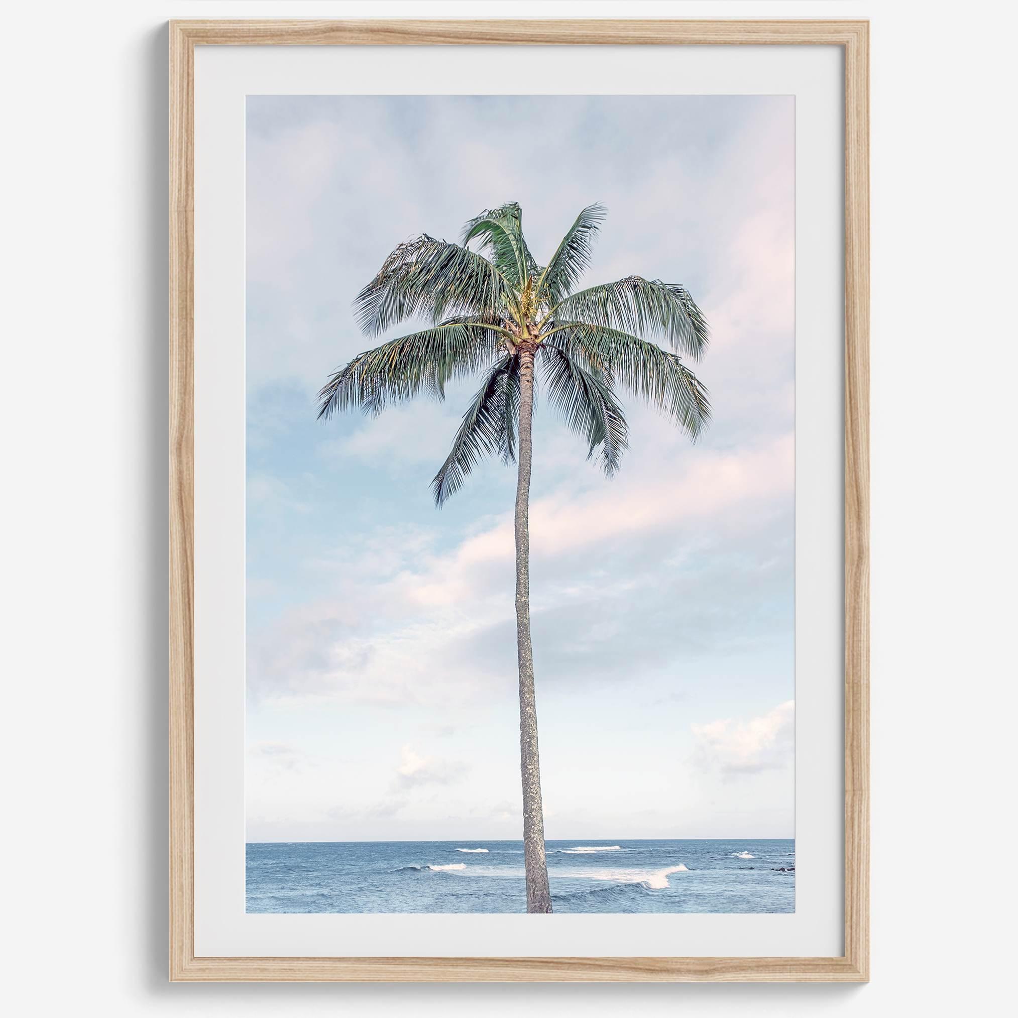 Palm Perfection