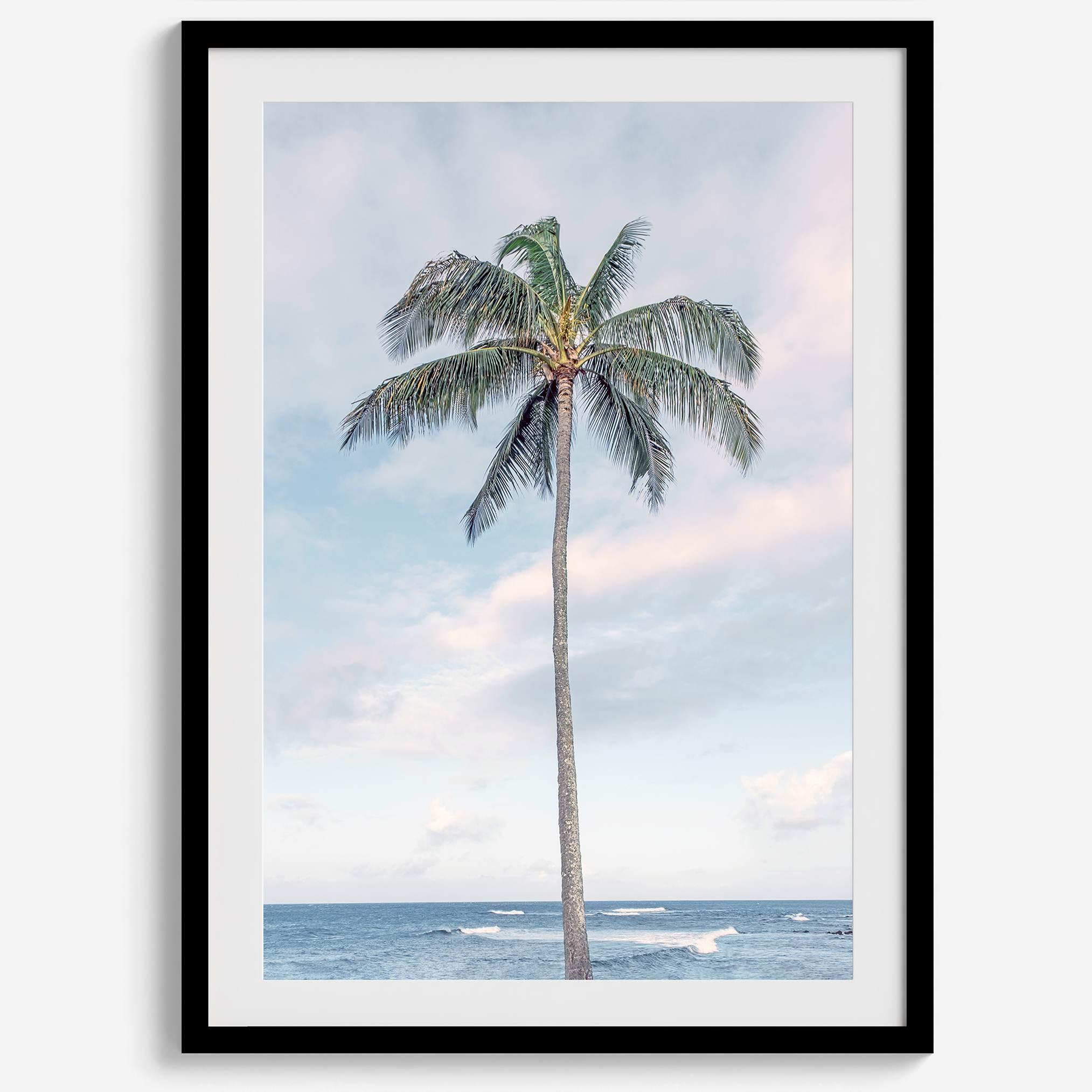 Palm Perfection