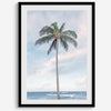 Palm Perfection