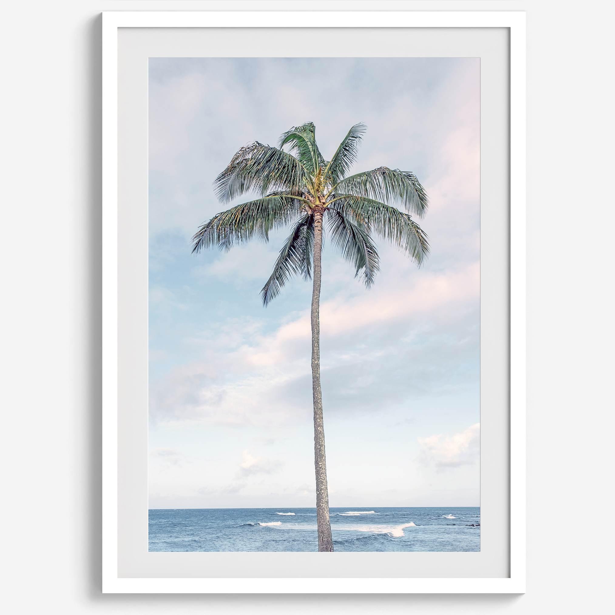 Palm Perfection