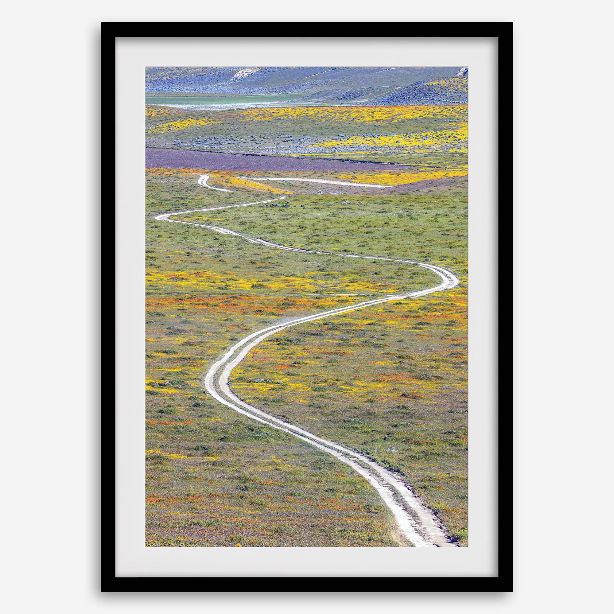 fine art photography print of a winding road disappearing into a valley filled with colorful wildflowers in Antelope Valley, California.