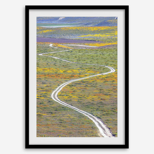 fine art photography print of a winding road disappearing into a valley filled with colorful wildflowers in Antelope Valley, California.