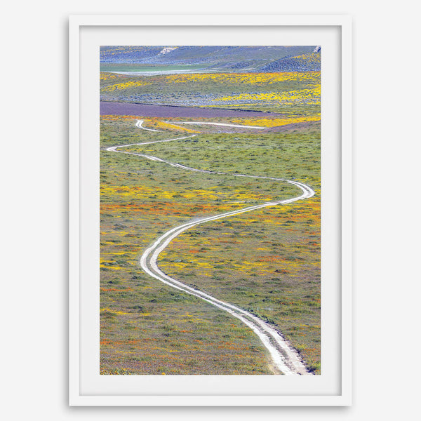 fine art photography print of a winding road disappearing into a valley filled with colorful wildflowers in Antelope Valley, California.