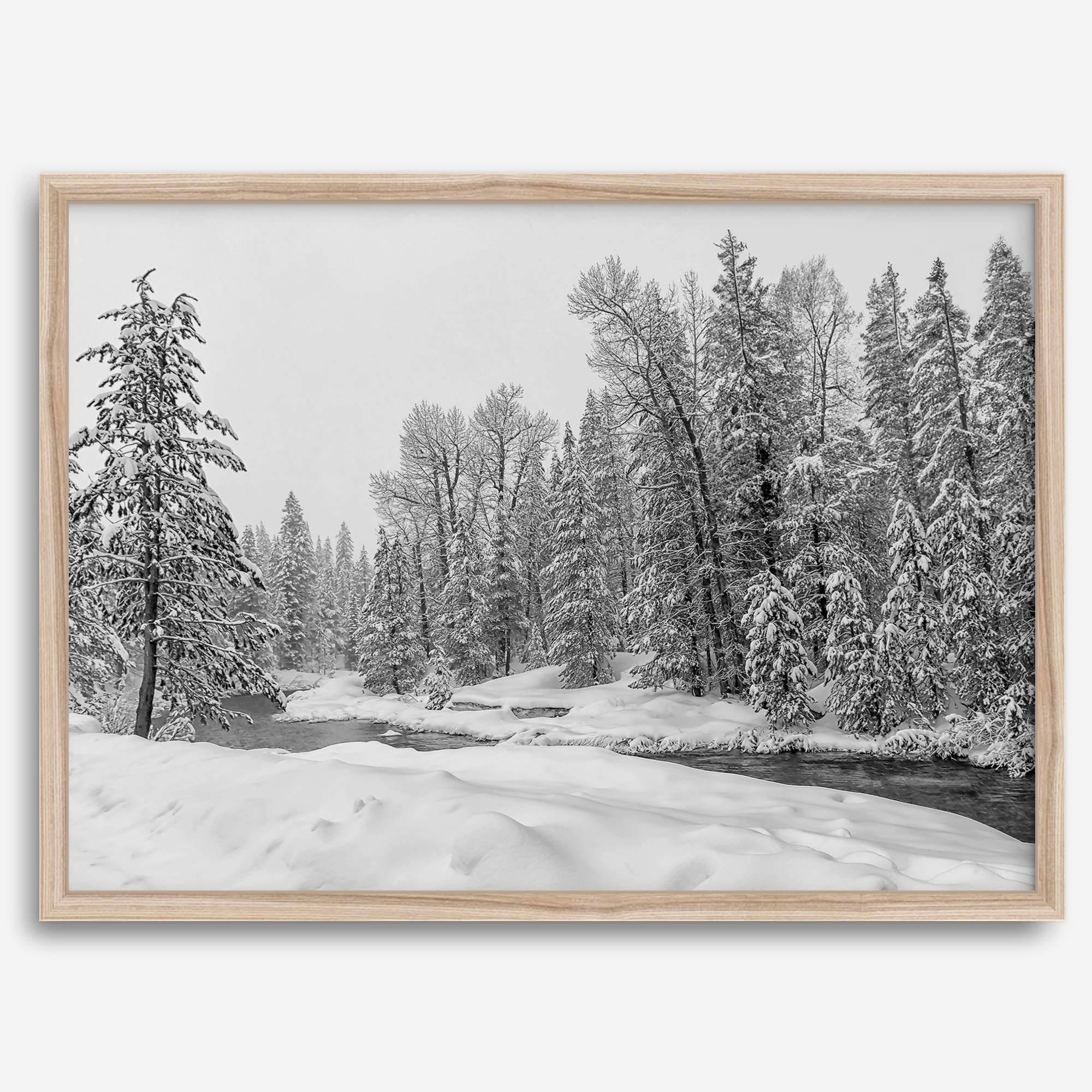 snowy pines wall art, black and white nature, winter landscape print, Tahoe forest art, snow-covered forest, fine art nature print, pine tree wall art, monochrome landscape, winter decor, snow photography, nature photography, black and white wall art, rustic cabin decor.