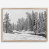 snowy pines wall art, black and white nature, winter landscape print, Tahoe forest art, snow-covered forest, fine art nature print, pine tree wall art, monochrome landscape, winter decor, snow photography, nature photography, black and white wall art, rustic cabin decor.