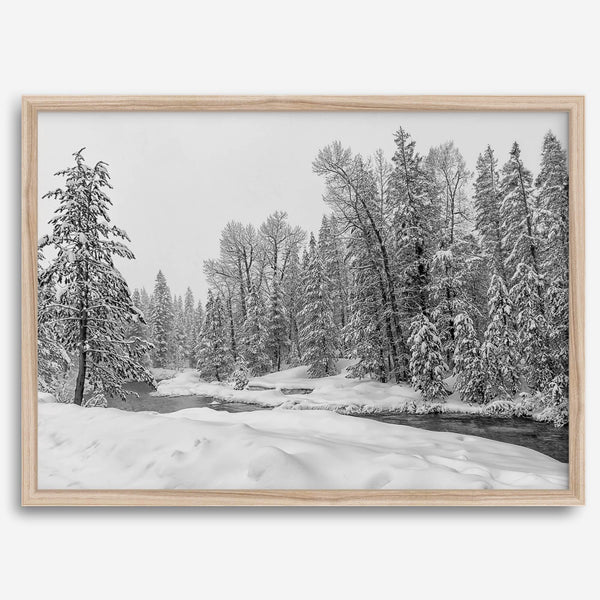 snowy pines wall art, black and white nature, winter landscape print, Tahoe forest art, snow-covered forest, fine art nature print, pine tree wall art, monochrome landscape, winter decor, snow photography, nature photography, black and white wall art, rustic cabin decor.
