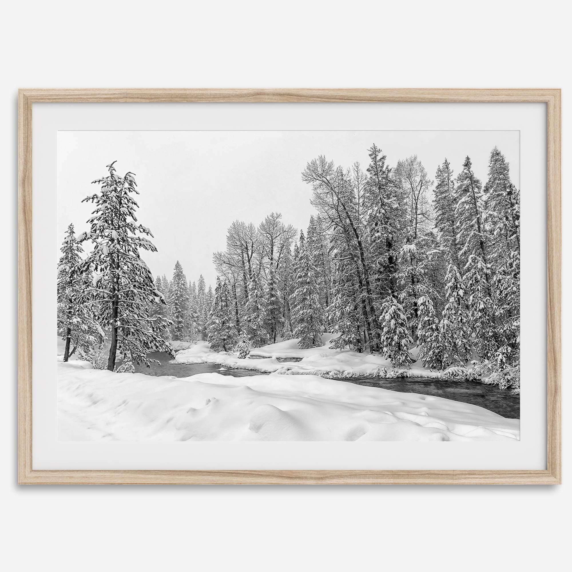 snowy pines wall art, black and white nature, winter landscape print, Tahoe forest art, snow-covered forest, fine art nature print, pine tree wall art, monochrome landscape, winter decor, snow photography, nature photography, black and white wall art, rustic cabin decor.