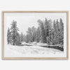 snowy pines wall art, black and white nature, winter landscape print, Tahoe forest art, snow-covered forest, fine art nature print, pine tree wall art, monochrome landscape, winter decor, snow photography, nature photography, black and white wall art, rustic cabin decor.