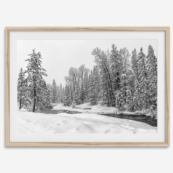 snowy pines wall art, black and white nature, winter landscape print, Tahoe forest art, snow-covered forest, fine art nature print, pine tree wall art, monochrome landscape, winter decor, snow photography, nature photography, black and white wall art, rustic cabin decor.