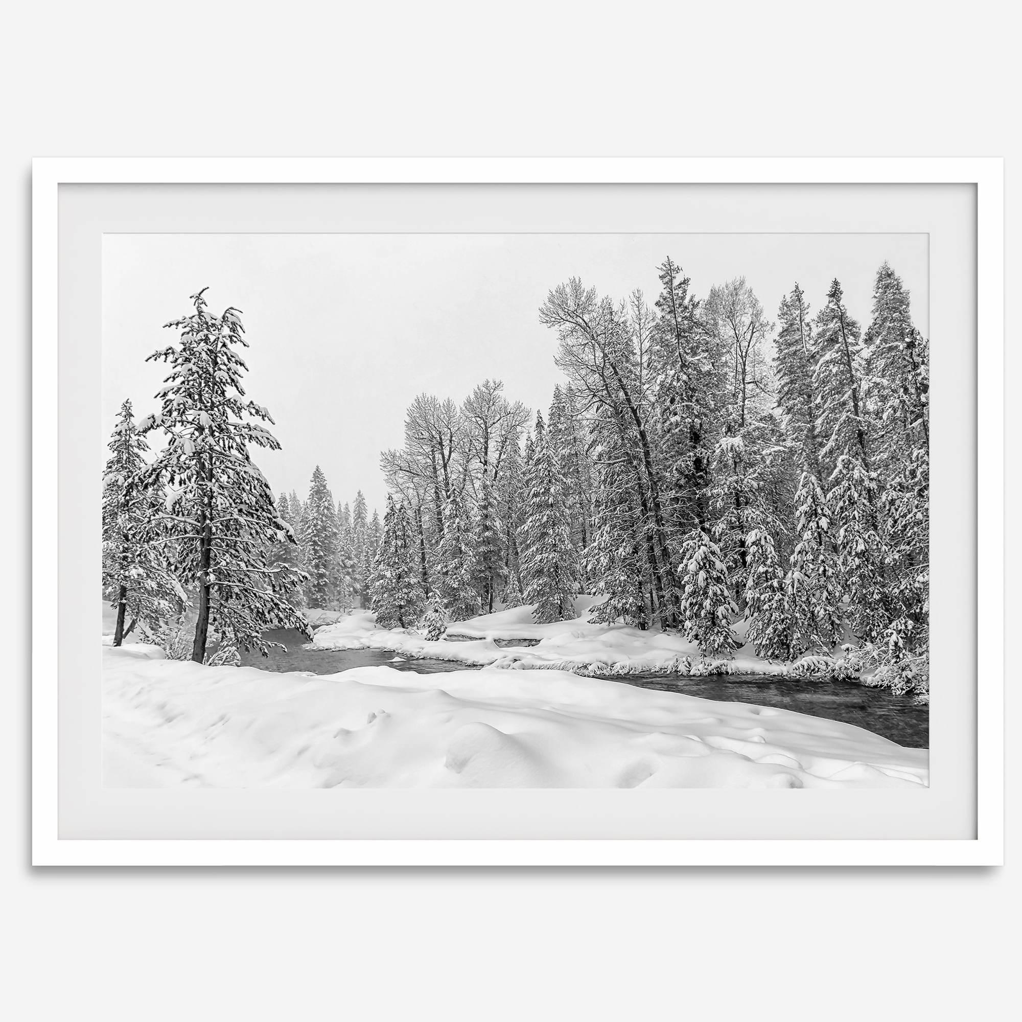 snowy pines wall art, black and white nature, winter landscape print, Tahoe forest art, snow-covered forest, fine art nature print, pine tree wall art, monochrome landscape, winter decor, snow photography, nature photography, black and white wall art, rustic cabin decor.