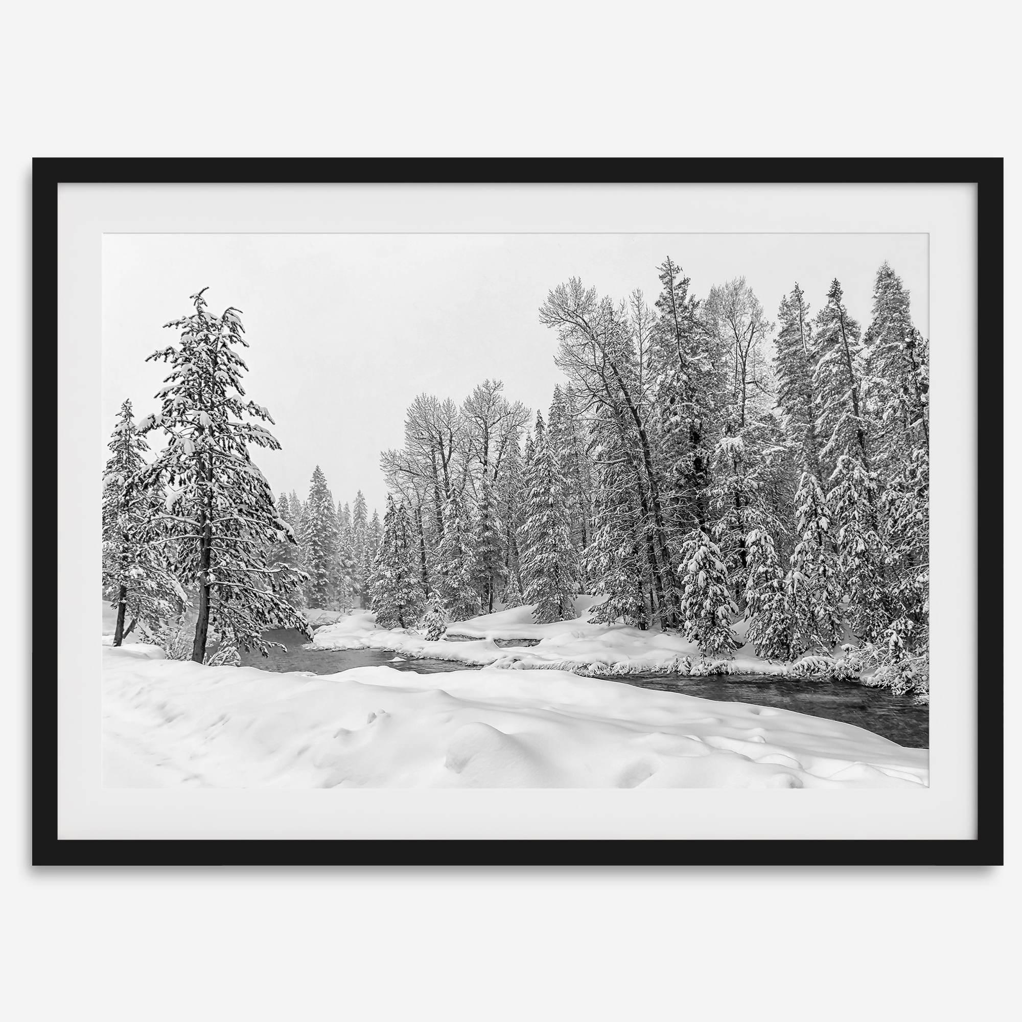 snowy pines wall art, black and white nature, winter landscape print, Tahoe forest art, snow-covered forest, fine art nature print, pine tree wall art, monochrome landscape, winter decor, snow photography, nature photography, black and white wall art, rustic cabin decor.