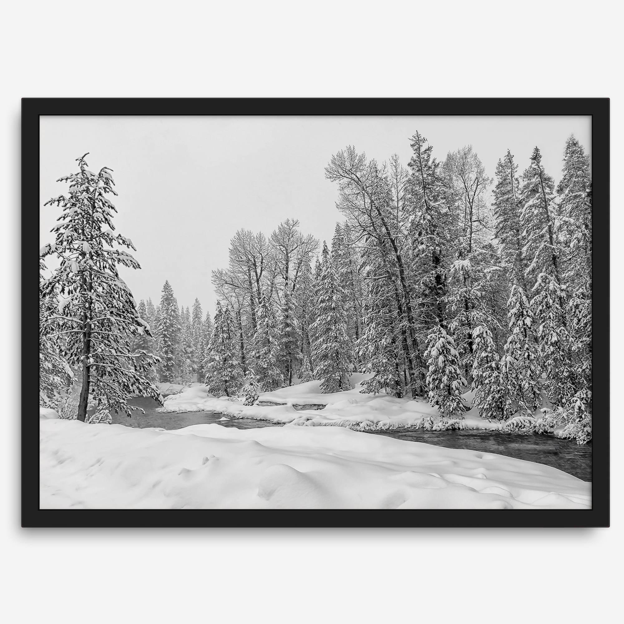snowy pines wall art, black and white nature, winter landscape print, Tahoe forest art, snow-covered forest, fine art nature print, pine tree wall art, monochrome landscape, winter decor, snow photography, nature photography, black and white wall art, rustic cabin decor.