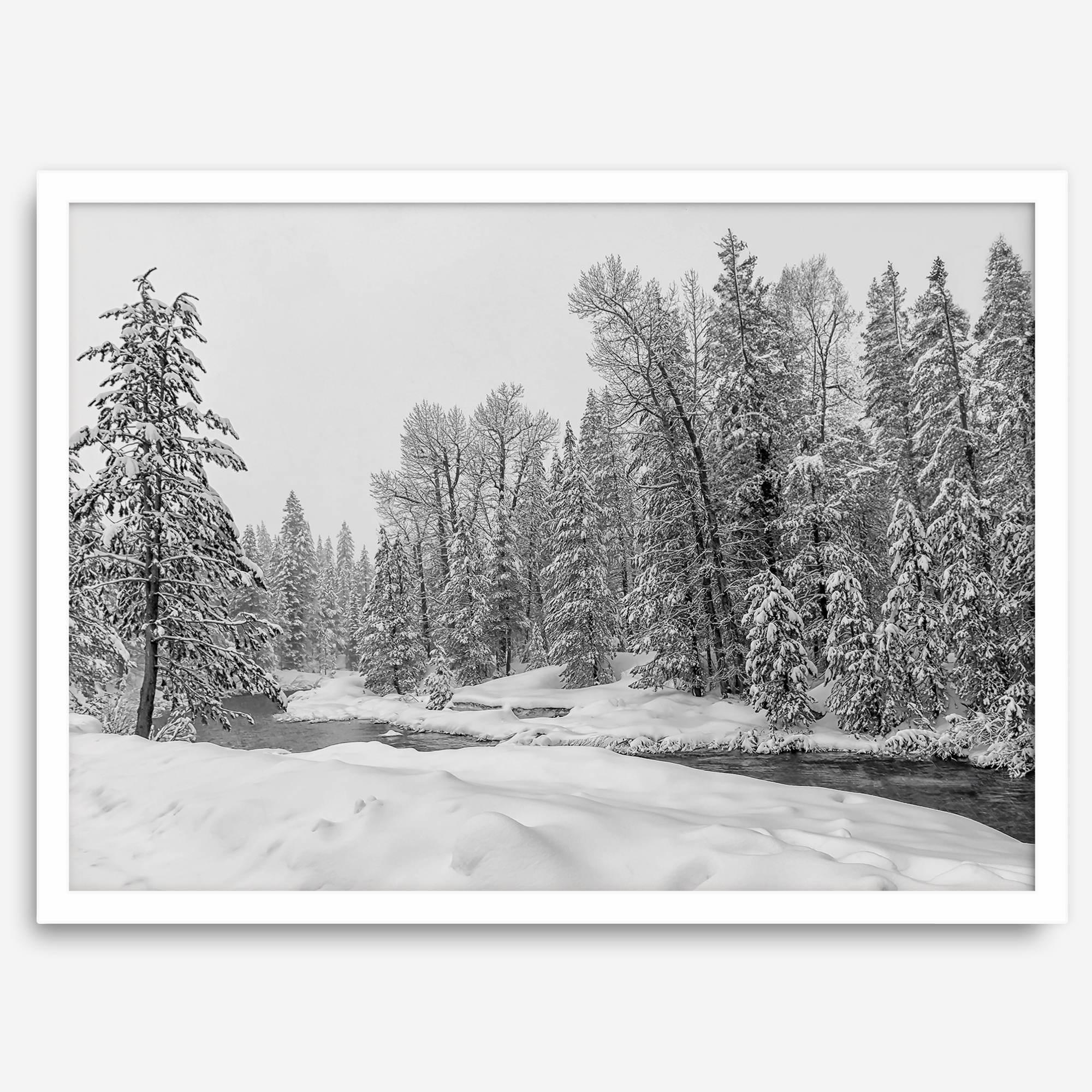 snowy pines wall art, black and white nature, winter landscape print, Tahoe forest art, snow-covered forest, fine art nature print, pine tree wall art, monochrome landscape, winter decor, snow photography, nature photography, black and white wall art, rustic cabin decor.