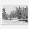snowy pines wall art, black and white nature, winter landscape print, Tahoe forest art, snow-covered forest, fine art nature print, pine tree wall art, monochrome landscape, winter decor, snow photography, nature photography, black and white wall art, rustic cabin decor.
