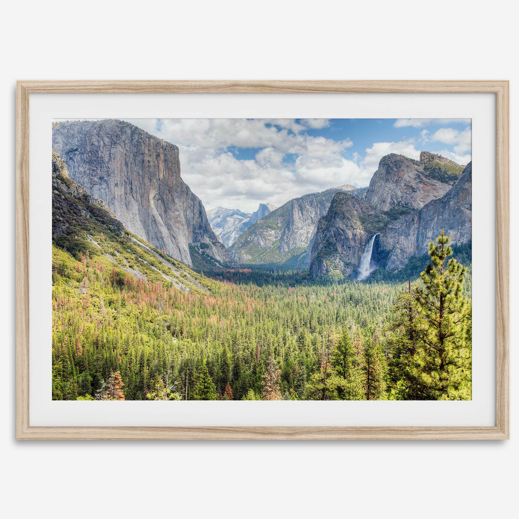 A framed or unframed landscape photography print of Yosemite National Park. This fine art Yosemite National Park poster showcases the lush forest, gushing waterfall, and towering cliffs of Yosemite. HDR photography Wall Art is Perfect for home decor