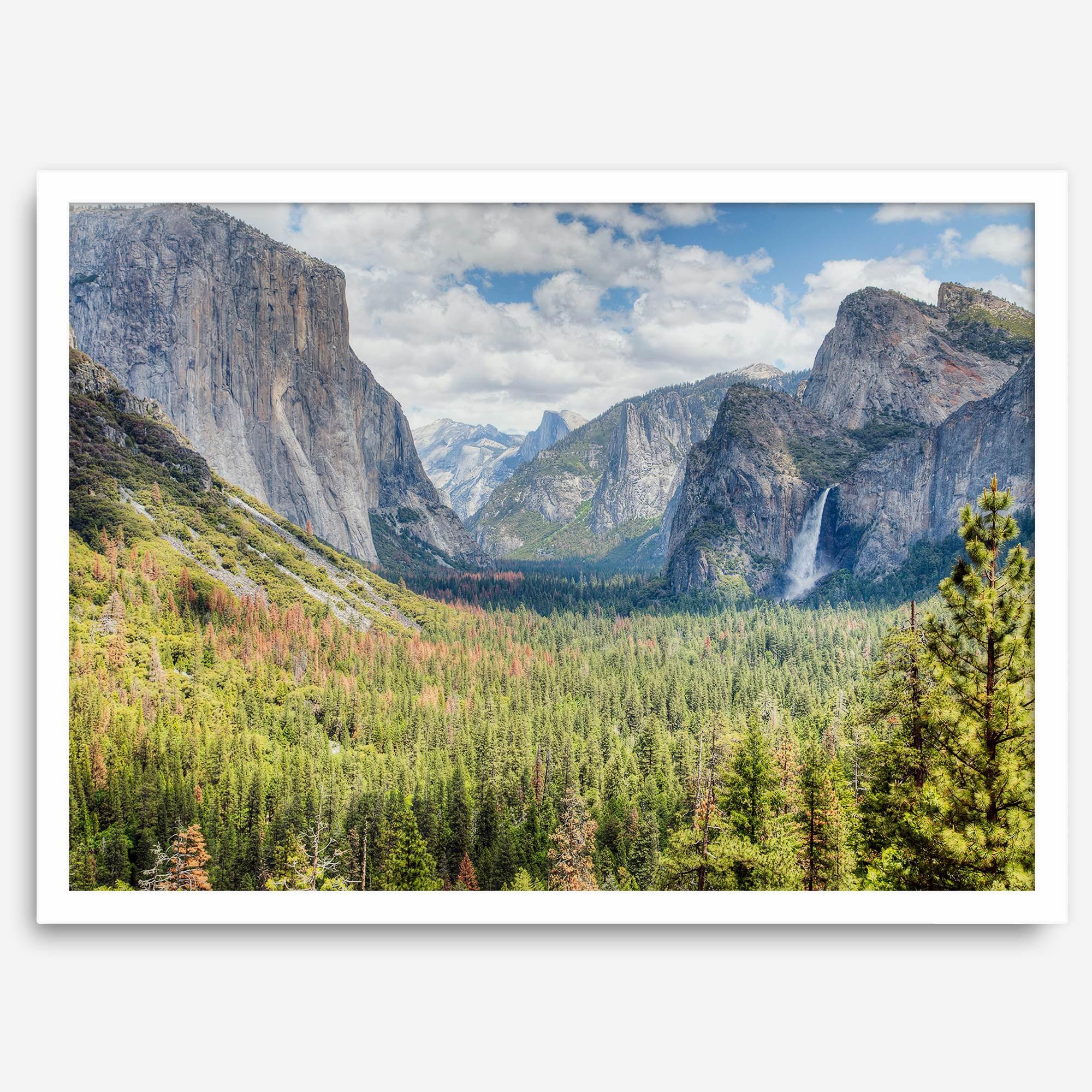 A framed or unframed landscape photography print of Yosemite National Park. This fine art Yosemite National Park poster showcases the lush forest, gushing waterfall, and towering cliffs of Yosemite. HDR photography Wall Art is Perfect for home decor