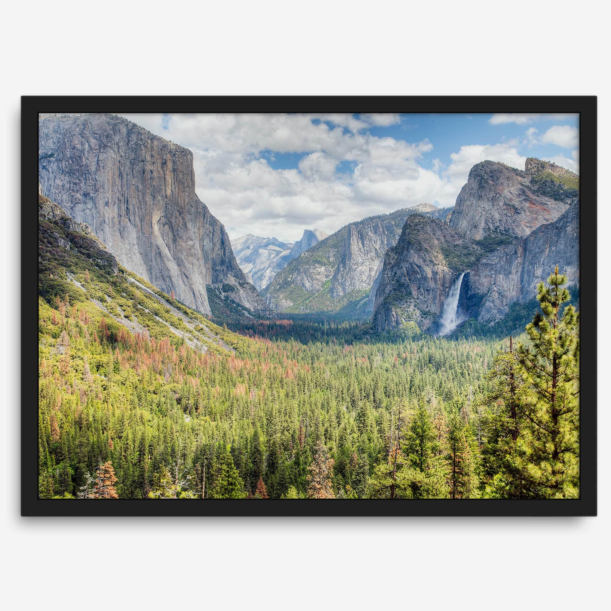A framed or unframed landscape photography print of Yosemite National Park. This fine art Yosemite National Park poster showcases the lush forest, gushing waterfall, and towering cliffs of Yosemite. HDR photography Wall Art is Perfect for home decor