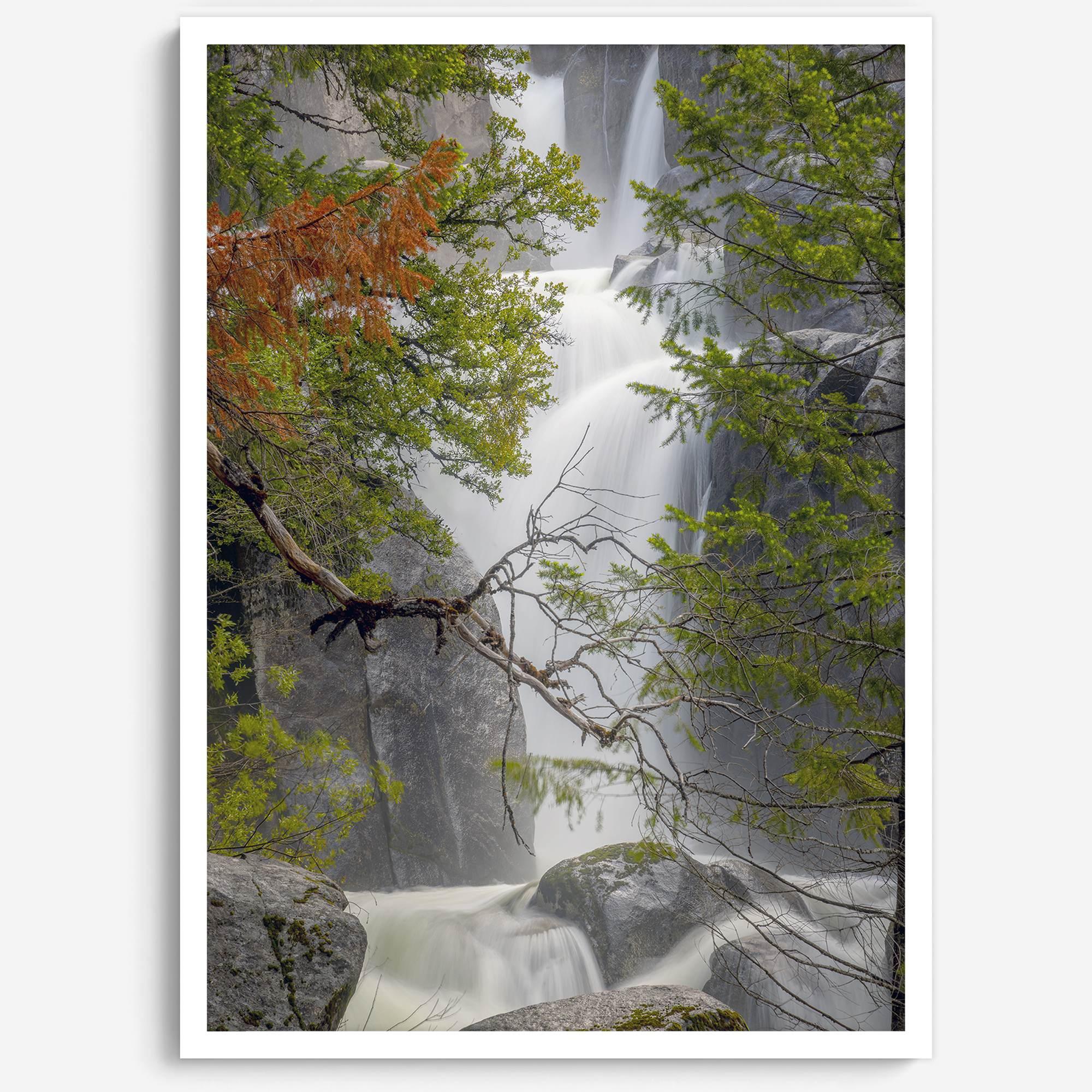 Black and white minimalist fine art print of Yosemite National Park. Sunlight filters through green leaves, revealing a hint of a cascading waterfall.