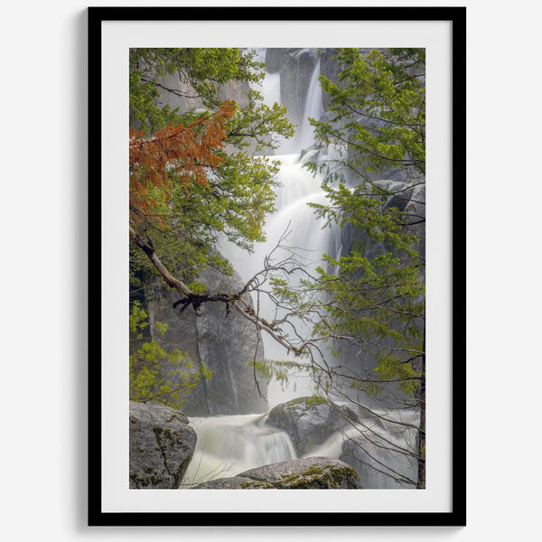 Black and white minimalist fine art print of Yosemite National Park. Sunlight filters through green leaves, revealing a hint of a cascading waterfall.