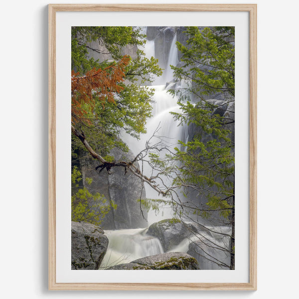 Black and white minimalist fine art print of Yosemite National Park. Sunlight filters through green leaves, revealing a hint of a cascading waterfall.