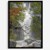 Black and white minimalist fine art print of Yosemite National Park. Sunlight filters through green leaves, revealing a hint of a cascading waterfall.