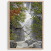 Black and white minimalist fine art print of Yosemite National Park. Sunlight filters through green leaves, revealing a hint of a cascading waterfall.