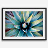 Agave wall art featuring blue-green succulent leaves inspired by the western desert landscape