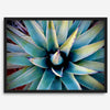 Agave wall art featuring blue-green succulent leaves inspired by the western desert landscape