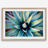 Agave wall art featuring blue-green succulent leaves inspired by the western desert landscape