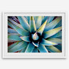 Agave wall art featuring blue-green succulent leaves inspired by the western desert landscape